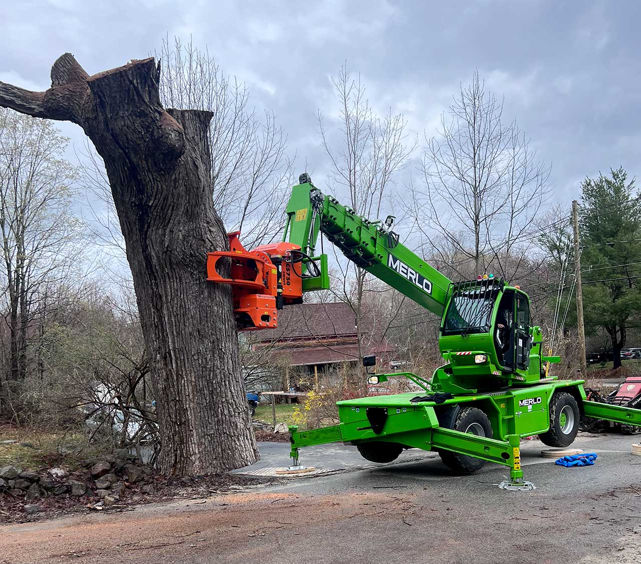 AC_Merlo_TreeRemoval2